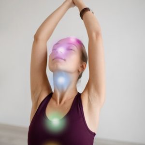 Wellness Eğitimi Sertifikası