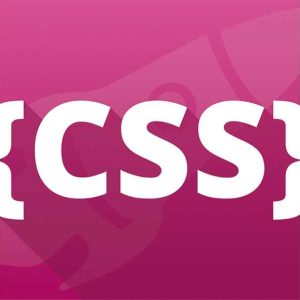 Css Eğitimi Sertifikası